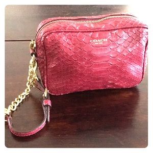 Coach Python Wristlet